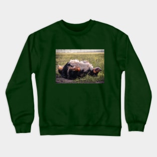 Bernese Mountain dog gift Crewneck Sweatshirt